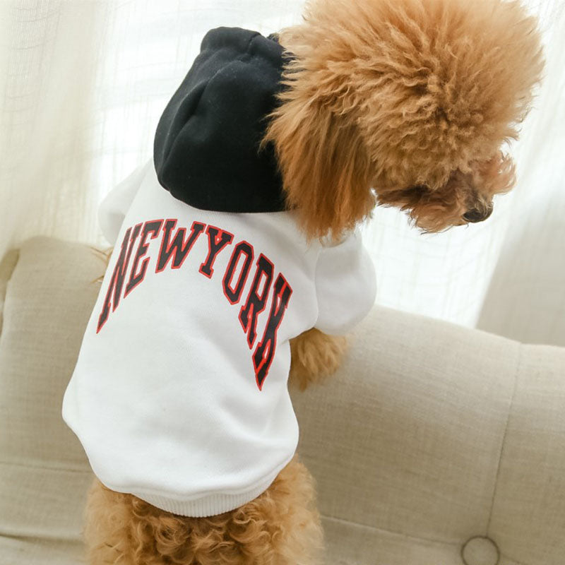 New York Terry Hoodie Dog Sweatshirt | Soft Cotton | XS–4XL | Beige, Black, White & Yellow