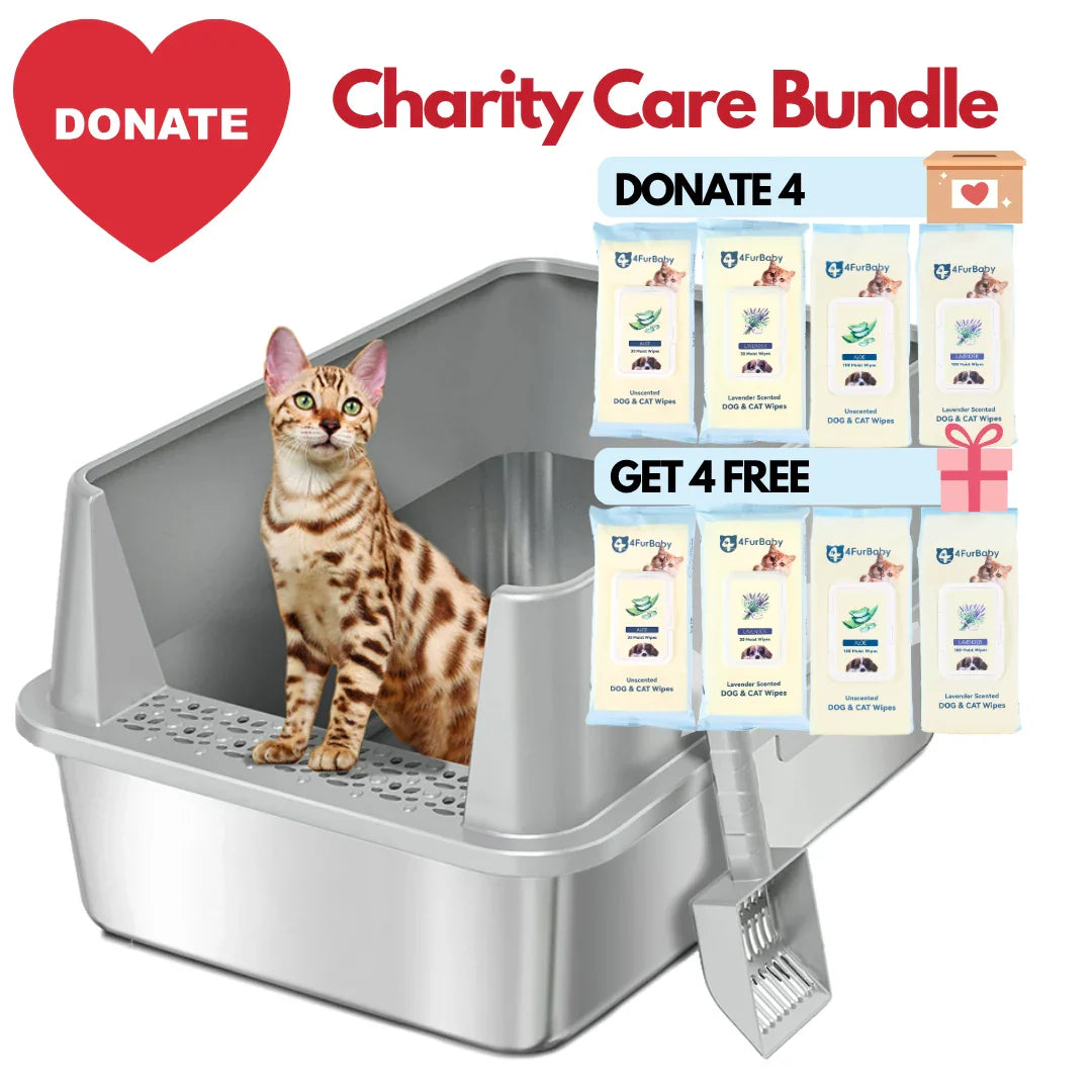 XXL Stainless Steel Cat Litter Box | High Sides, Low Entry | 304 Steel | Multi-Cat & Large Breeds