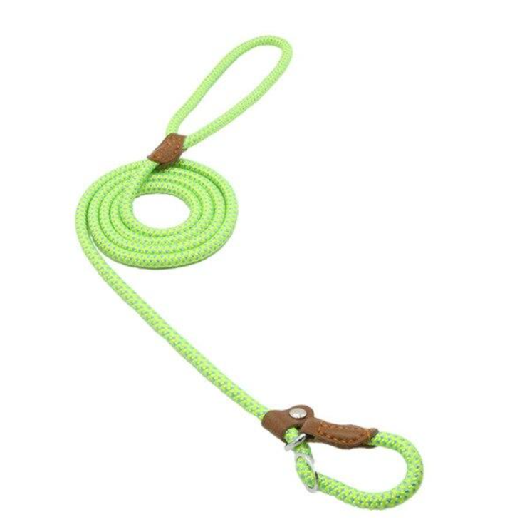 Nylon Pup Collar & Lead Set | Double-Stitched | Adjustable | S–XL | Multiple Colors