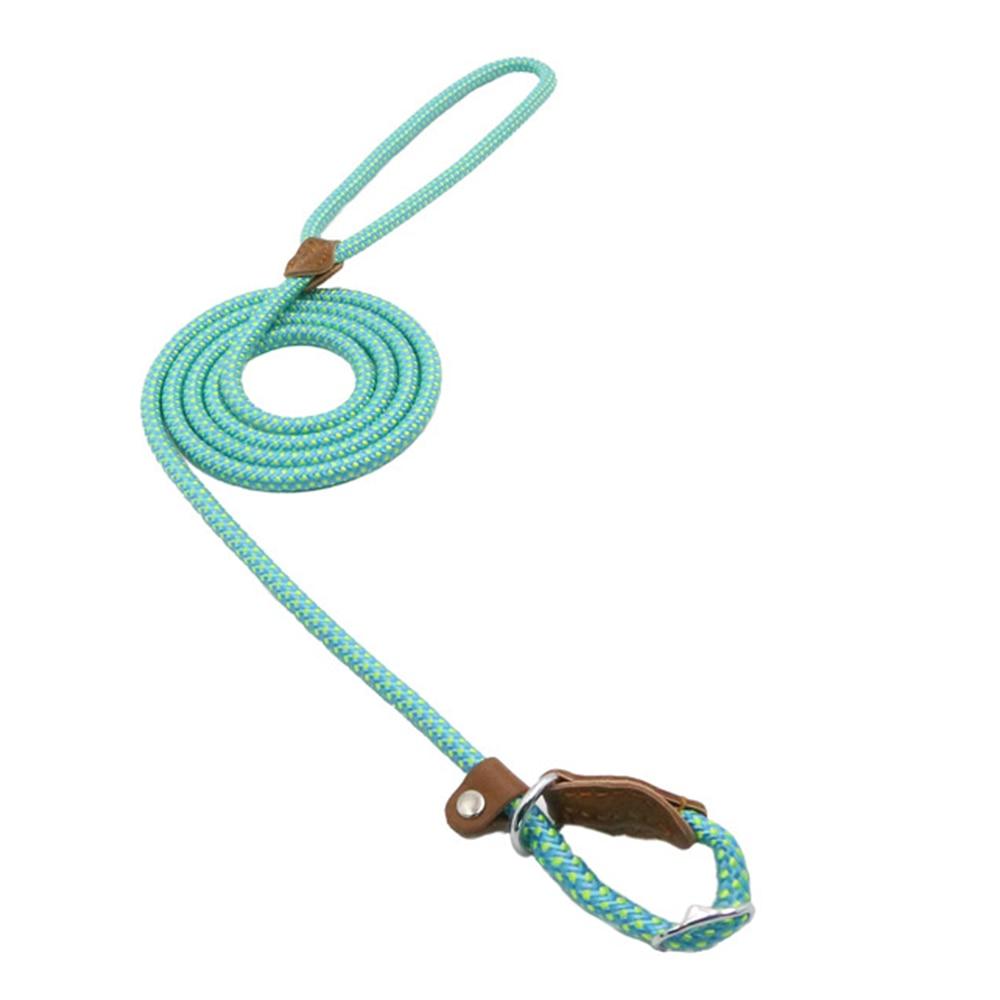Nylon Pup Collar & Lead Set | Double-Stitched | Adjustable | S–XL | Multiple Colors