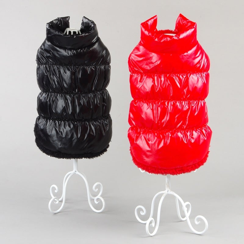 Winter Teddy Waistcoat for Dogs & Cats | Soft Cotton | XS–3XL | 7 Colors