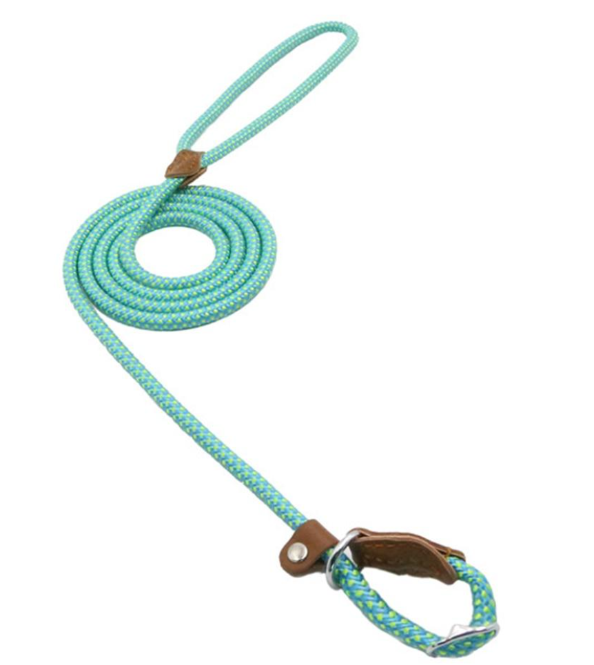 Nylon Pup Collar & Lead Set | Double-Stitched | Adjustable | S–XL | Multiple Colors