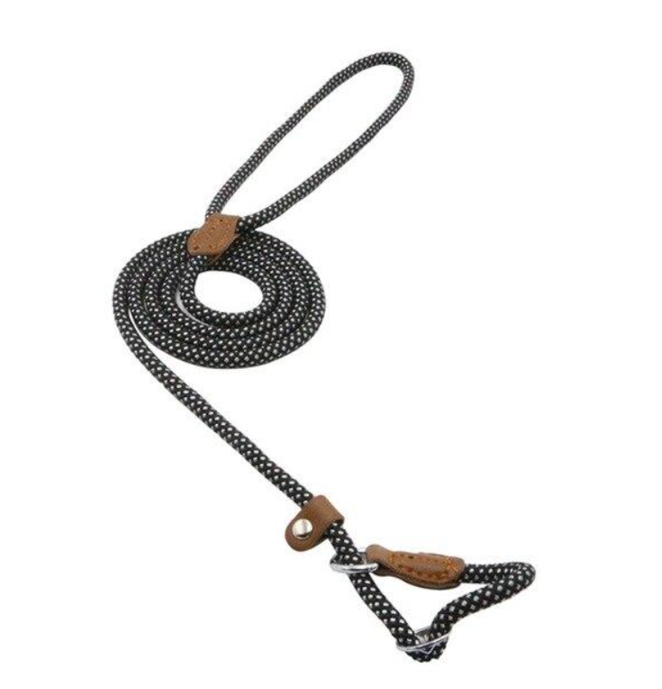Nylon Pup Collar & Lead Set | Double-Stitched | Adjustable | S–XL | Multiple Colors