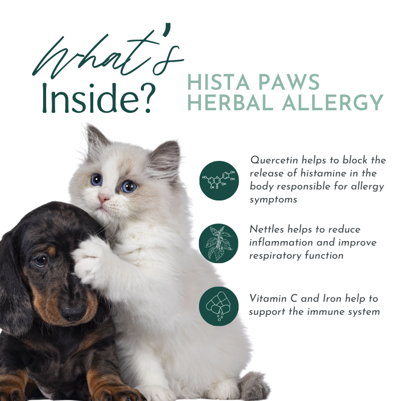 Hista Paws Herbal Allergy Support for Dogs & Cats | Quercetin & Nettle Extract | Plant-Based Capsules