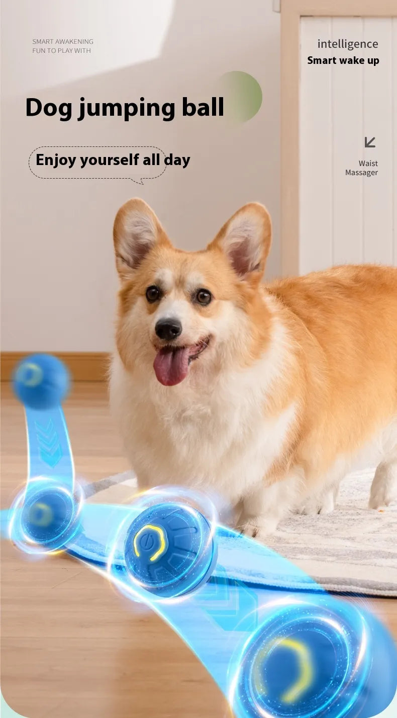 Smart Interactive Dog & Cat Toy Ball | Automatic Movement | Grounder & Jump Ball | Battery Included