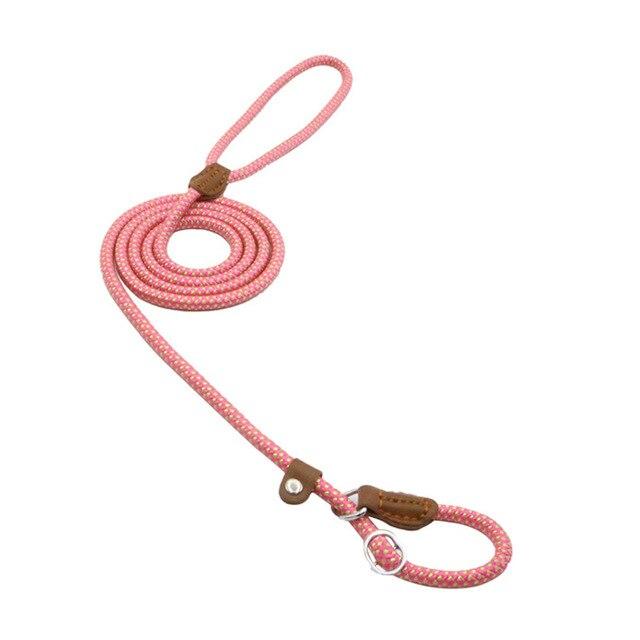 Nylon Pup Collar & Lead Set | Double-Stitched | Adjustable | S–XL | Multiple Colors