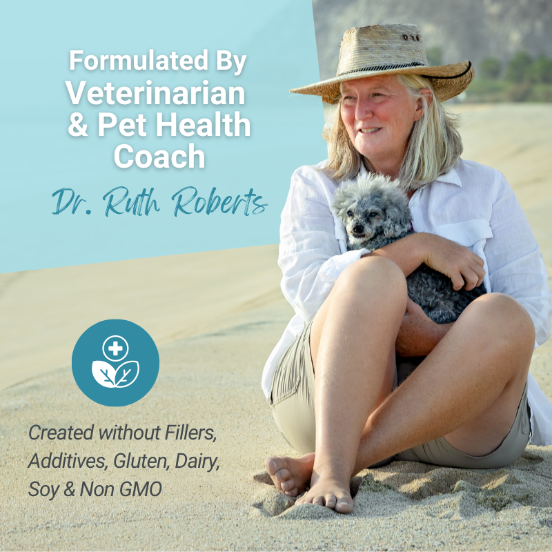 Hista Paws Herbal Allergy Support for Dogs & Cats | Quercetin & Nettle Extract | Plant-Based Capsules