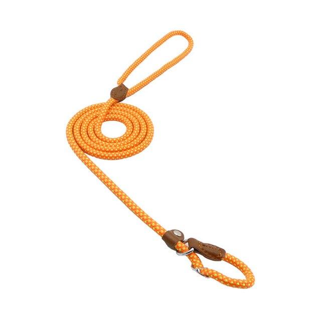 Nylon Pup Collar & Lead Set | Double-Stitched | Adjustable | S–XL | Multiple Colors