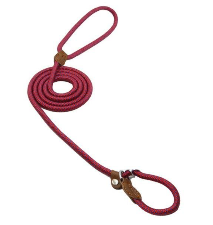 Nylon Pup Collar & Lead Set | Double-Stitched | Adjustable | S–XL | Multiple Colors