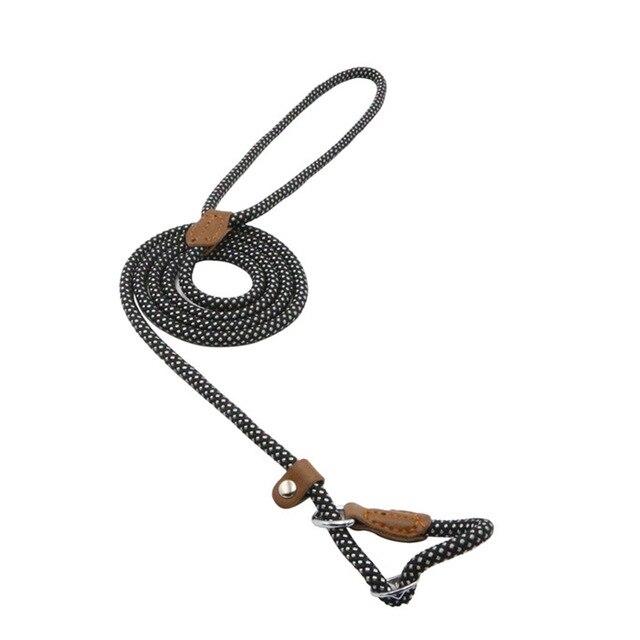 Nylon Pup Collar & Lead Set | Double-Stitched | Adjustable | S–XL | Multiple Colors