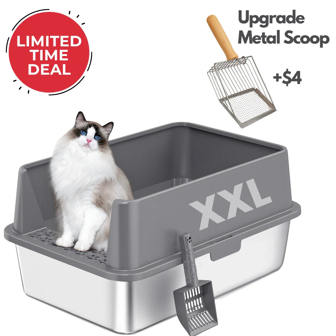XXL Stainless Steel Cat Litter Box | High Sides, Low Entry | 304 Steel | Multi-Cat & Large Breeds