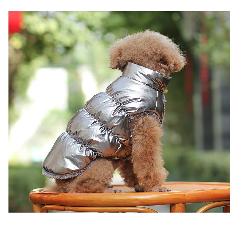 Winter Teddy Waistcoat for Dogs & Cats | Soft Cotton | XS–3XL | 7 Colors