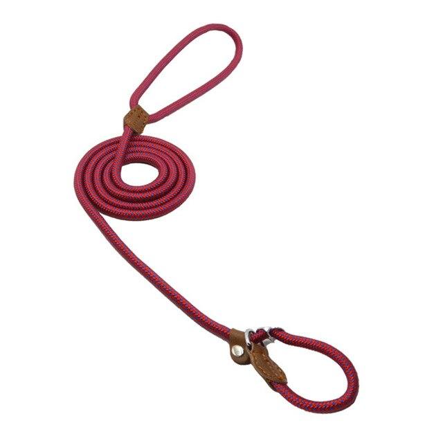 Nylon Pup Collar & Lead Set | Double-Stitched | Adjustable | S–XL | Multiple Colors