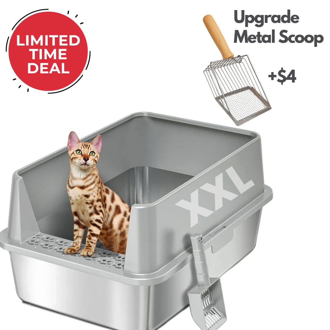 XXL Stainless Steel Cat Litter Box | High Sides, Low Entry | 304 Steel | Multi-Cat & Large Breeds