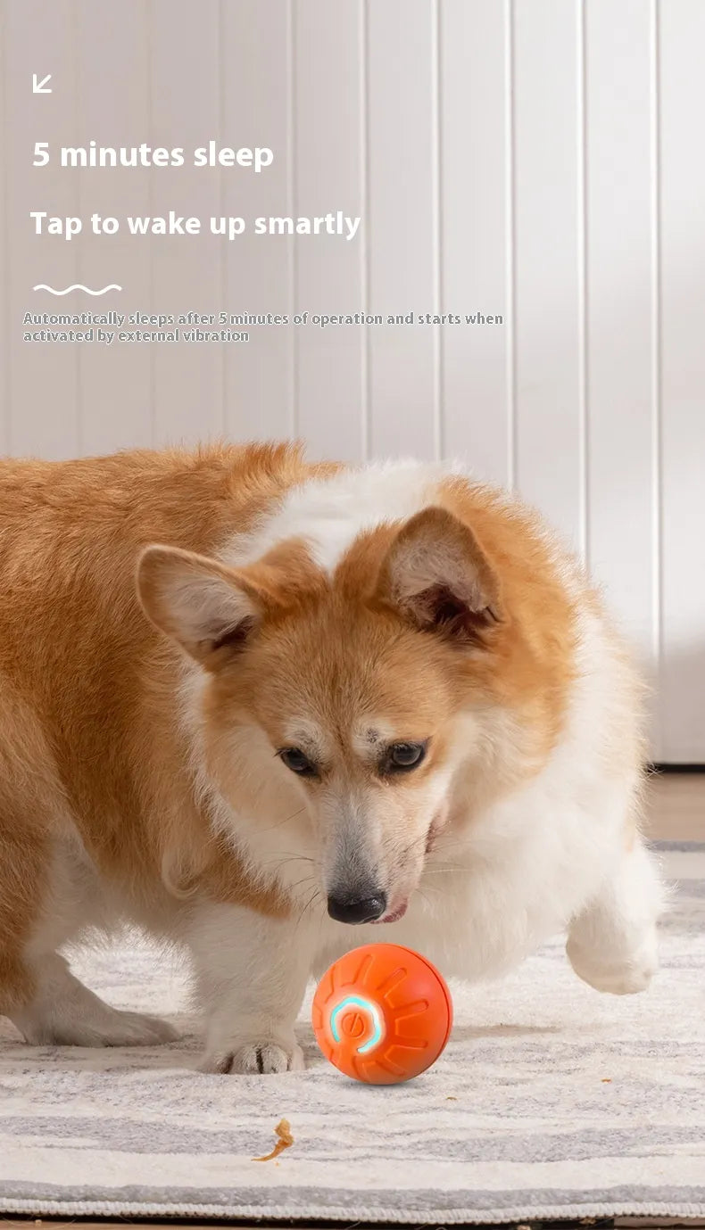 Smart Interactive Dog & Cat Toy Ball | Automatic Movement | Grounder & Jump Ball | Battery Included