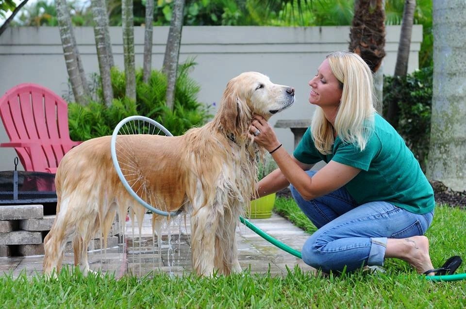 Dog Wash Ring | 360° Hose Spray Ring for Easy Bath Time | 40cm | Outdoor Pet Shower Tool