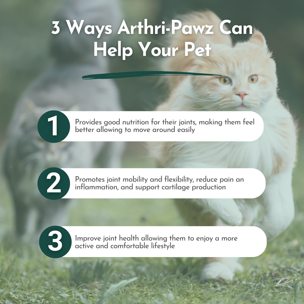 Arthri-Pawz Joint Support for Dogs & Cats | Glucosamine, MSM, Green-Lipped Mussel & Boswellia | 120 Capsules