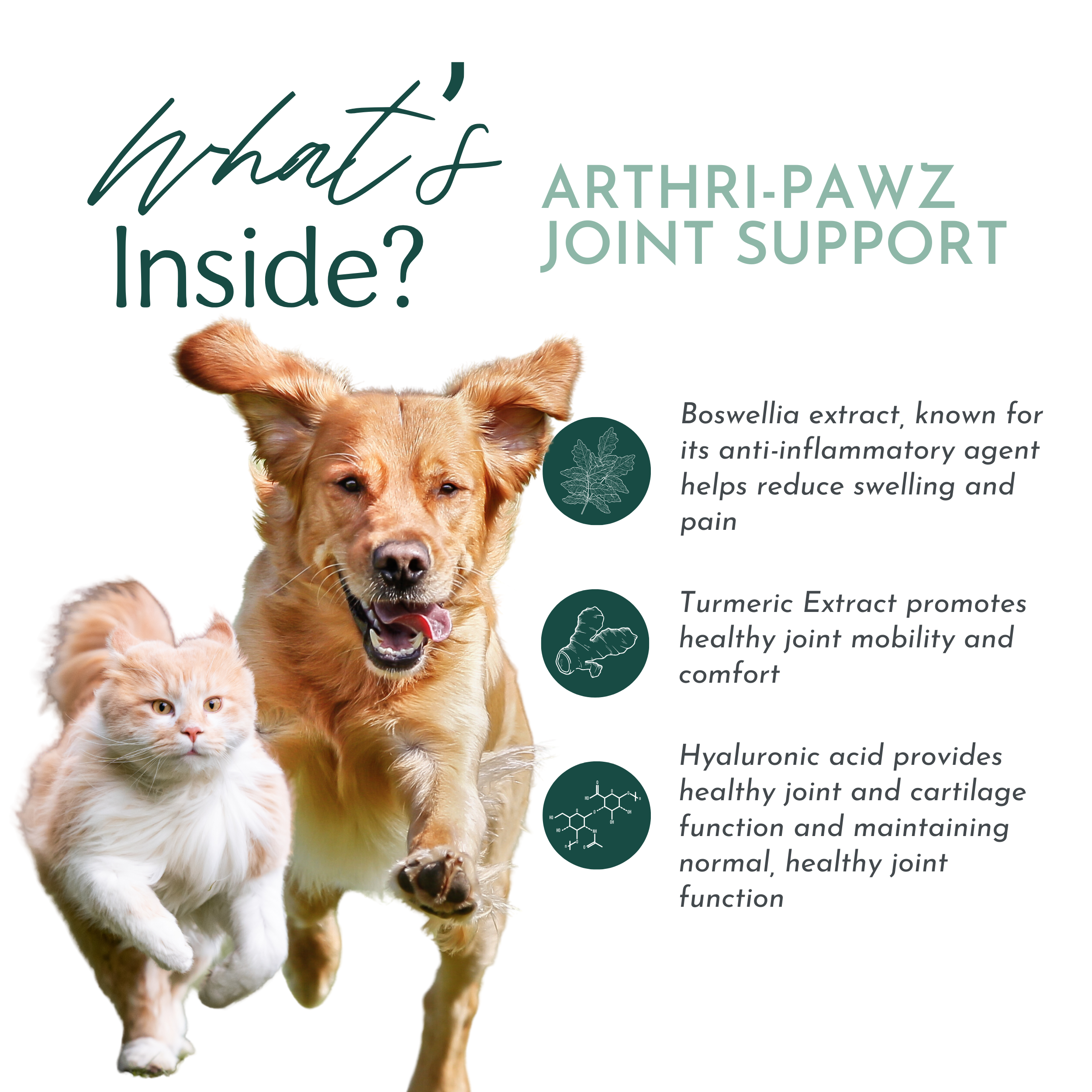 Arthri-Pawz Joint Support for Dogs & Cats | Glucosamine, MSM, Green-Lipped Mussel & Boswellia | 120 Capsules