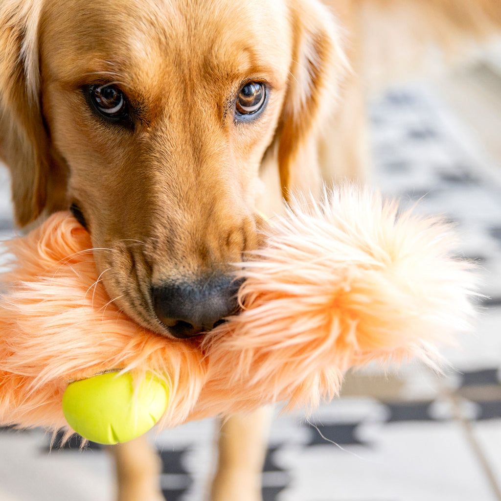 West Paw Rowdie Plush Dog Toy | Reinforced Fabric | Chew-Tough Paws | Eco-Friendly