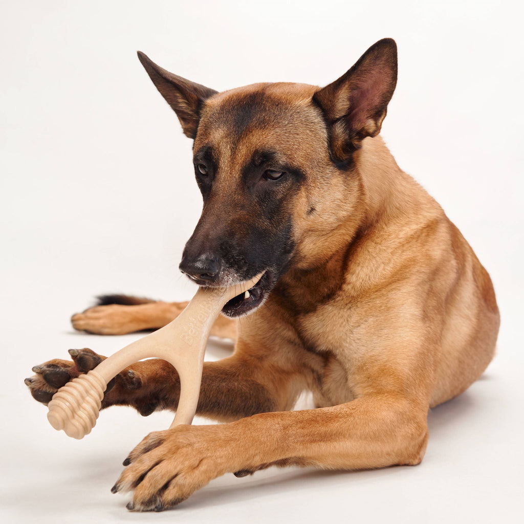 BetterBone MODERATE | Plant-Based Daily Chew Toy for Dogs | Non-Toxic, Hypoallergenic | 3 Sizes