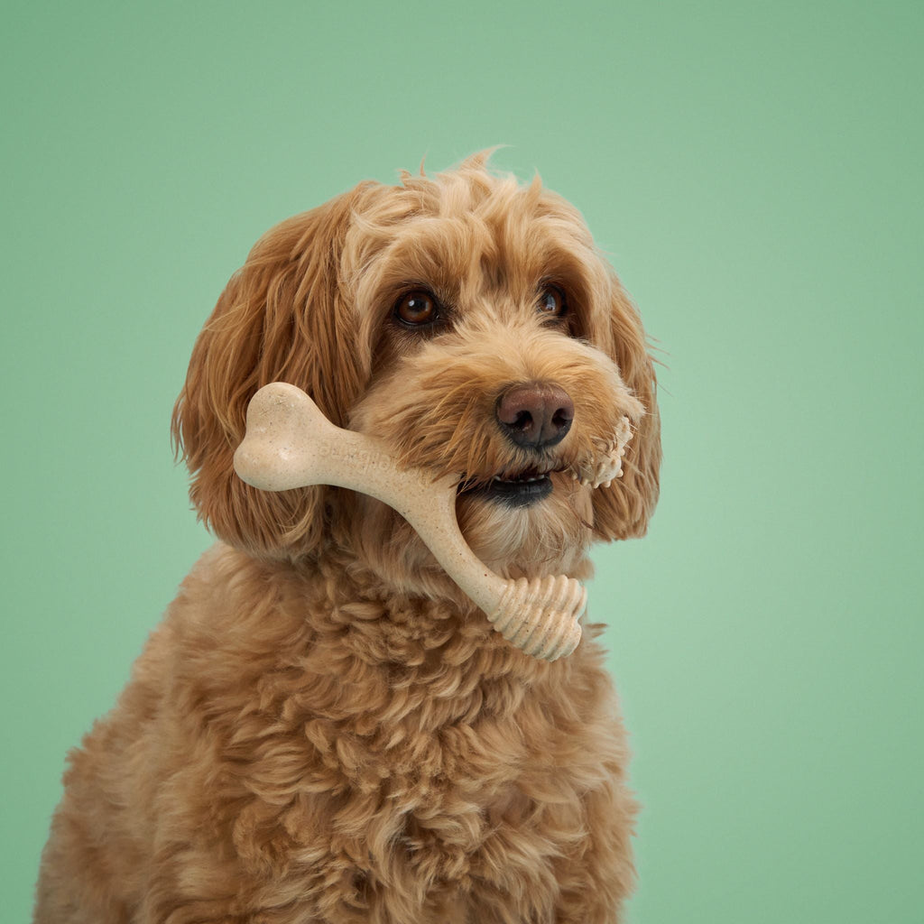 BetterBone MODERATE | Plant-Based Daily Chew Toy for Dogs | Non-Toxic, Hypoallergenic | 3 Sizes