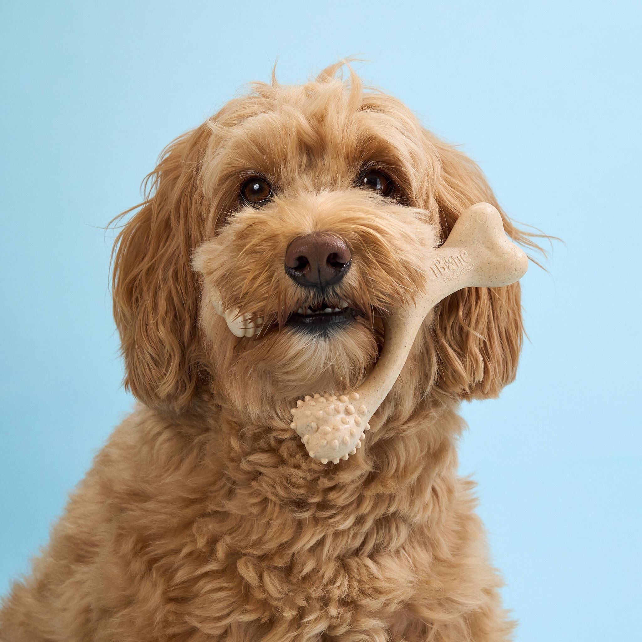 BetterBone SOFT | Plant-Based Gentle Chew Toy for Puppies & Senior Dogs | Non-Toxic | 3 Sizes