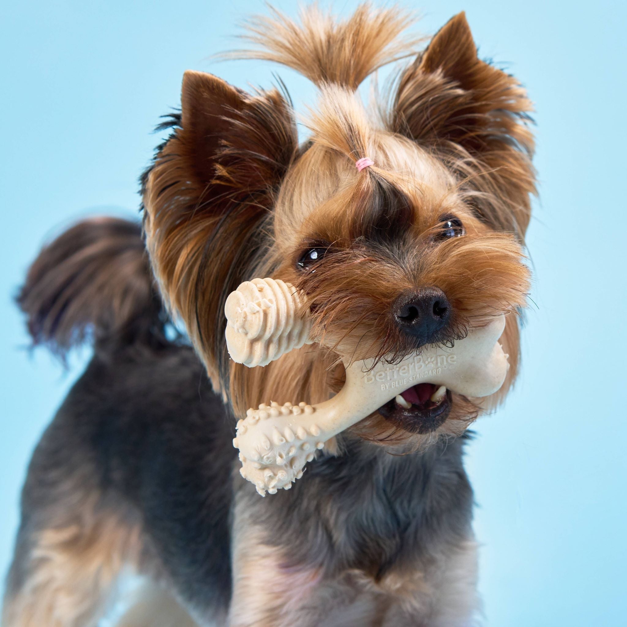 BetterBone SOFT | Plant-Based Gentle Chew Toy for Puppies & Senior Dogs | Non-Toxic | 3 Sizes