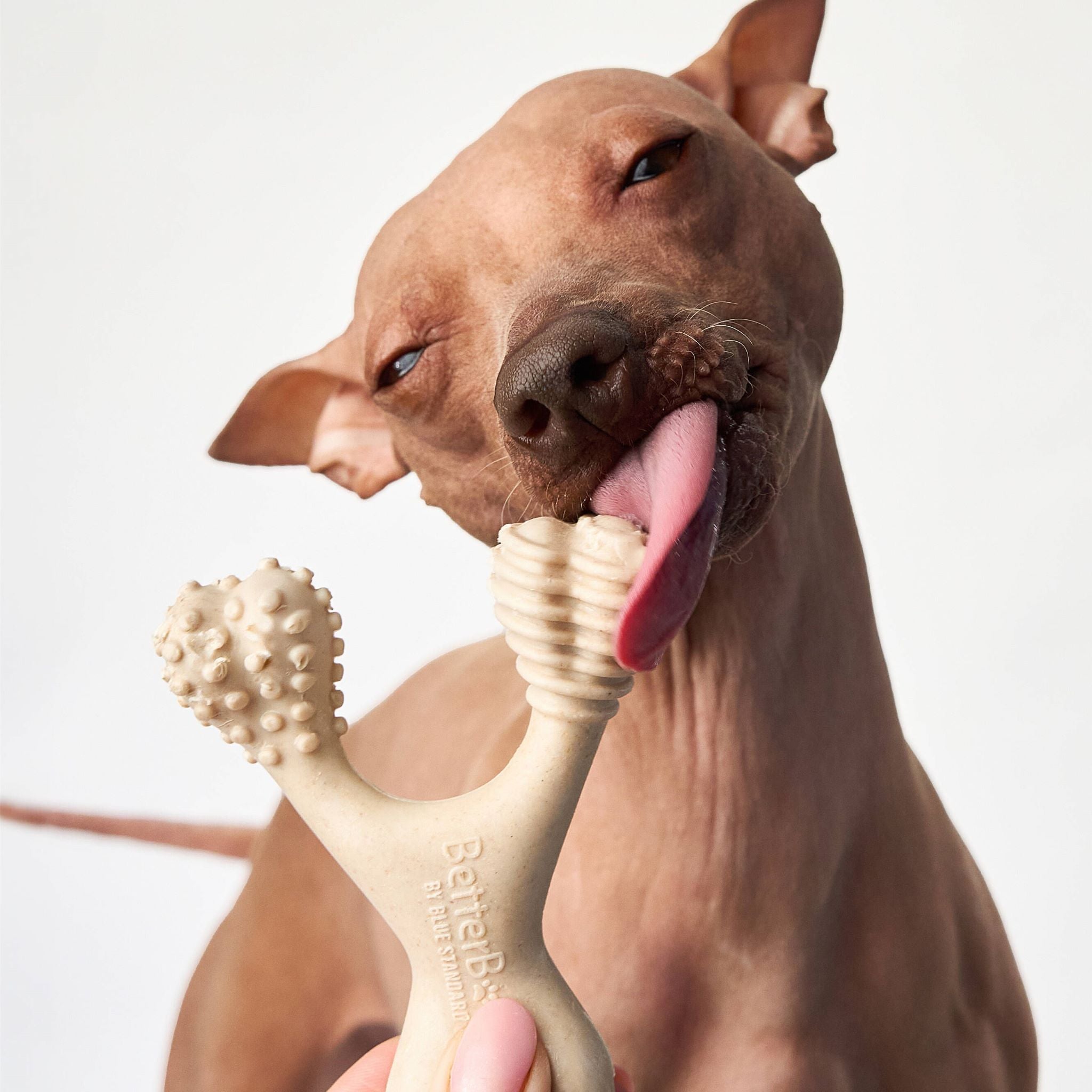 BetterBone SOFT | Plant-Based Gentle Chew Toy for Puppies & Senior Dogs | Non-Toxic | 3 Sizes