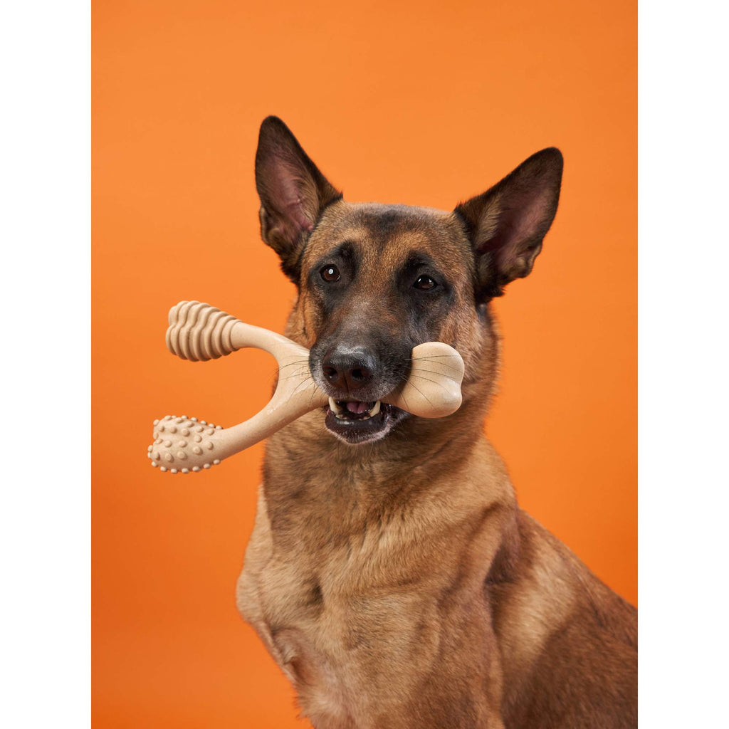 BetterBone HARD | Plant-Based Ultra-Durable Dog Chew Toy | Non-Toxic, Hypoallergenic | 3 Sizes