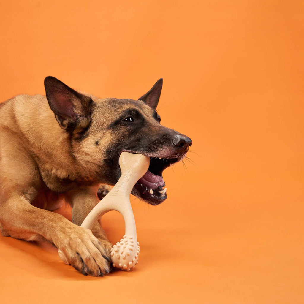 BetterBone HARD | Plant-Based Ultra-Durable Dog Chew Toy | Non-Toxic, Hypoallergenic | 3 Sizes