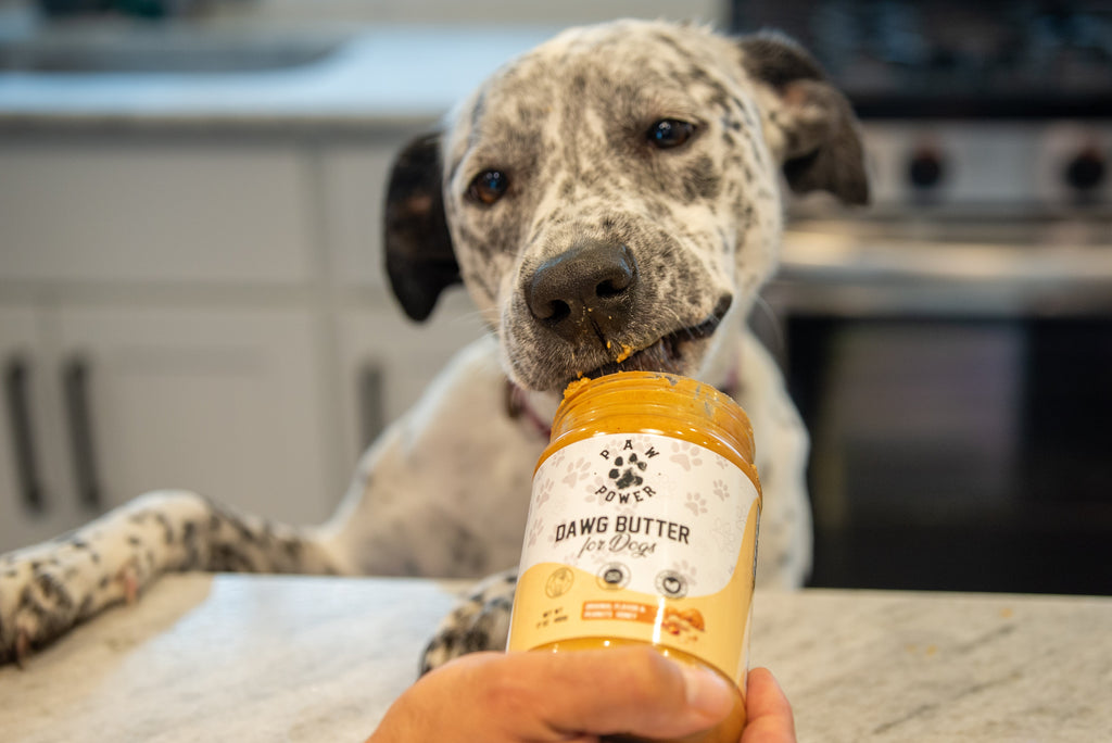 Award-Winning Honey Peanut Butter Dog Treat | Xylitol-Free | Non-GMO | Supports Rescue Dogs