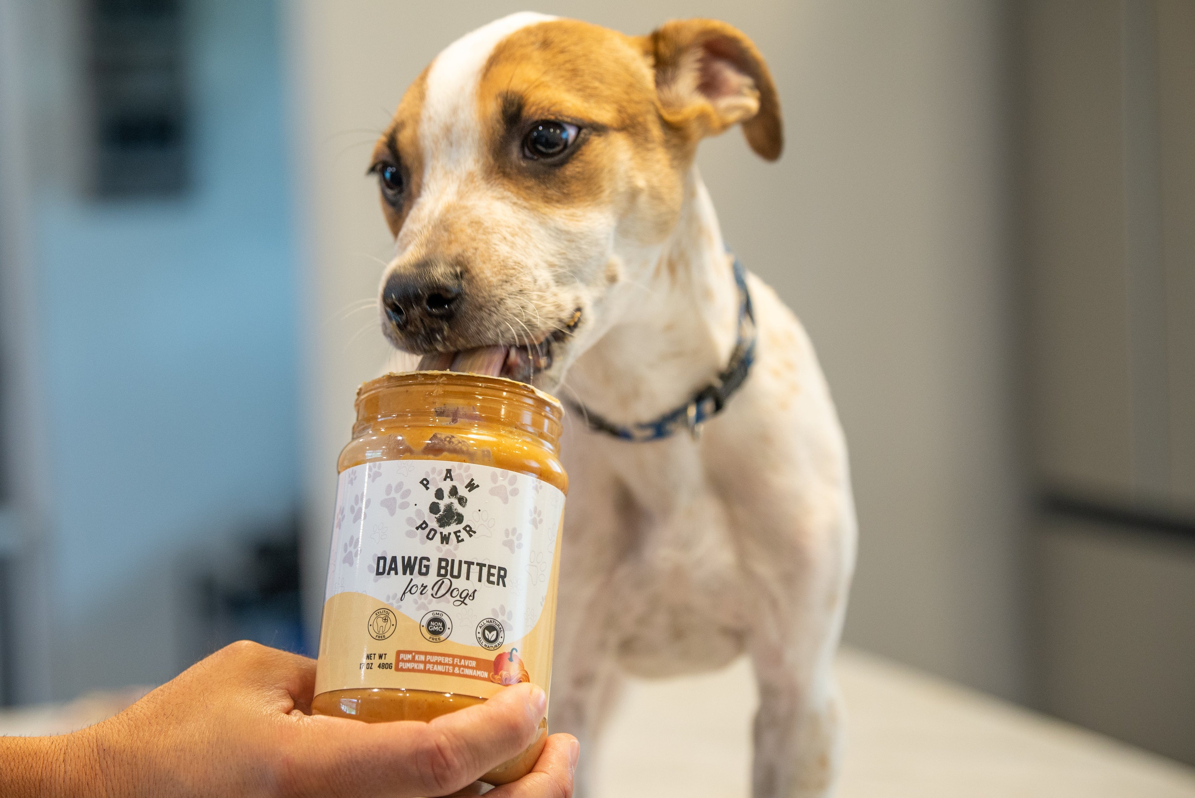 Award-Winning Pumpkin Peanut Butter Dog Treat | Xylitol-Free | Non-GMO | Supports Rescue Dogs