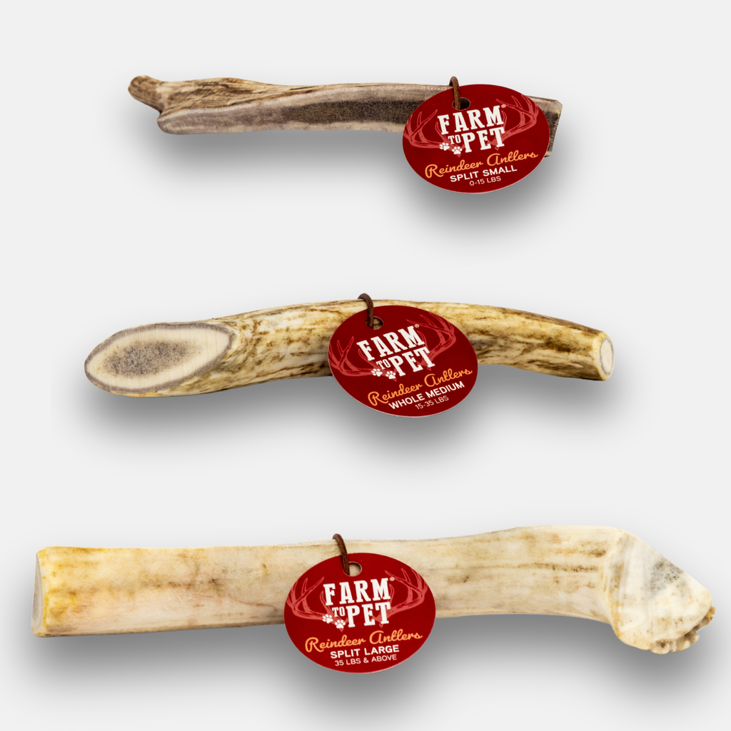 Organic Reindeer Antler Chews for Dogs | Wild-Gathered Alaska | Whole & Split | S, M, L