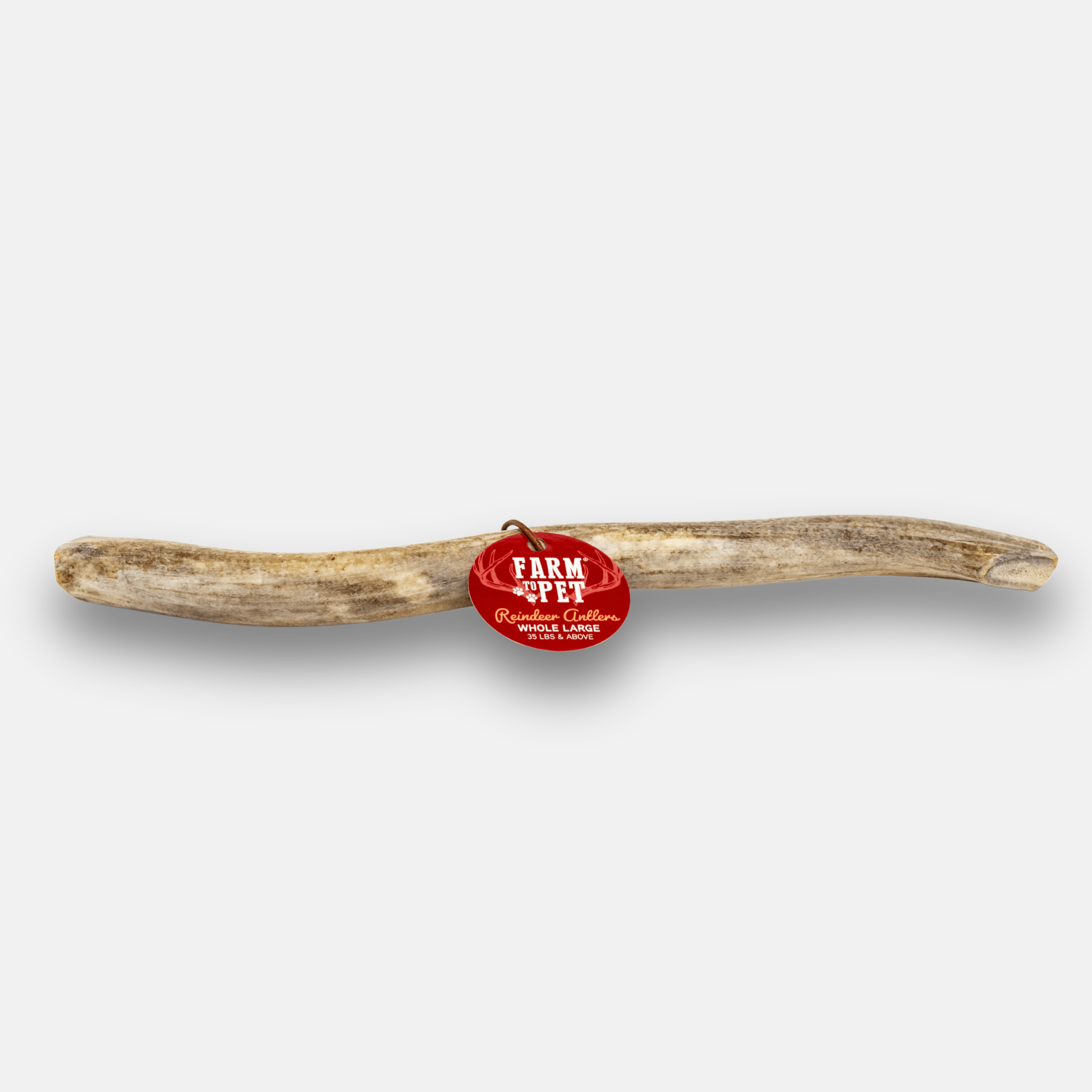 Organic Reindeer Antler Chews for Dogs | Wild-Gathered Alaska | Whole & Split | S, M, L