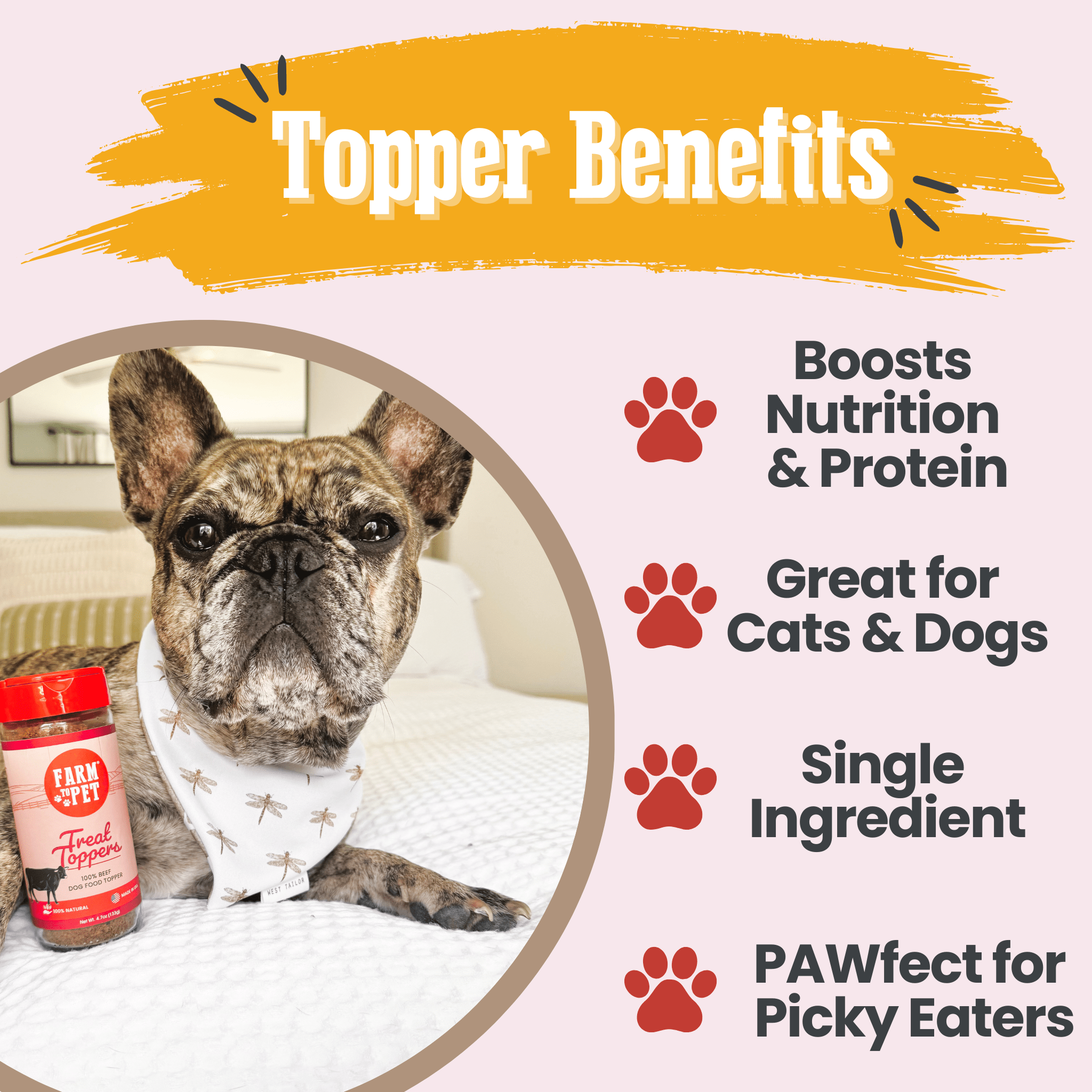 Farm to Pet Beef Treat Topper | Single Ingredient | Dog & Cat Food Topper | Made in USA