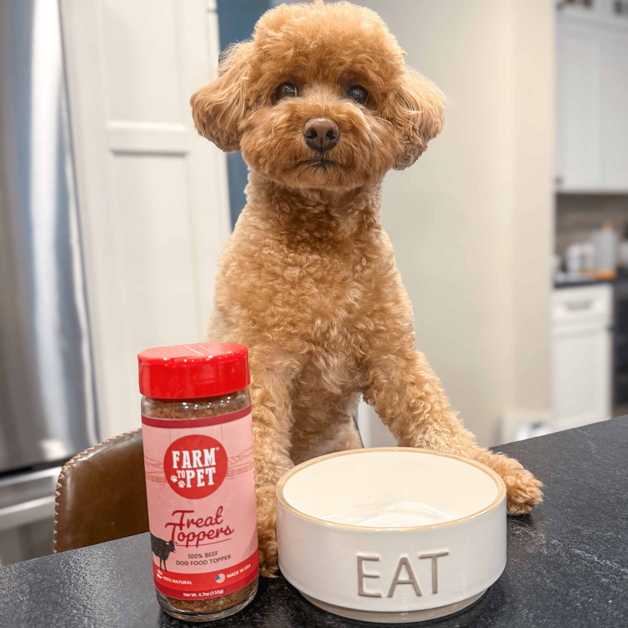 Farm to Pet Beef Treat Topper | Single Ingredient | Dog & Cat Food Topper | Made in USA