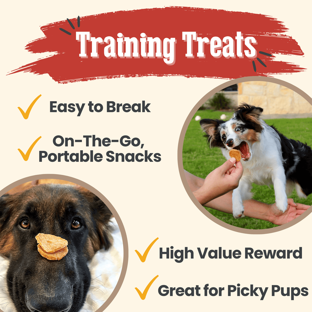 Farm to Pet Chicken Chips Dog Treats | Single Ingredient | Human-Grade | Made in USA