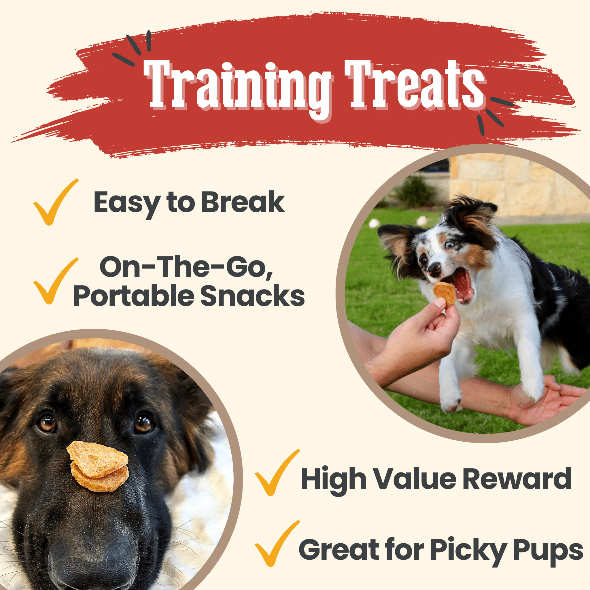Farm to Pet Chicken Chips Dog Treats | Single Ingredient | Human-Grade | Made in USA