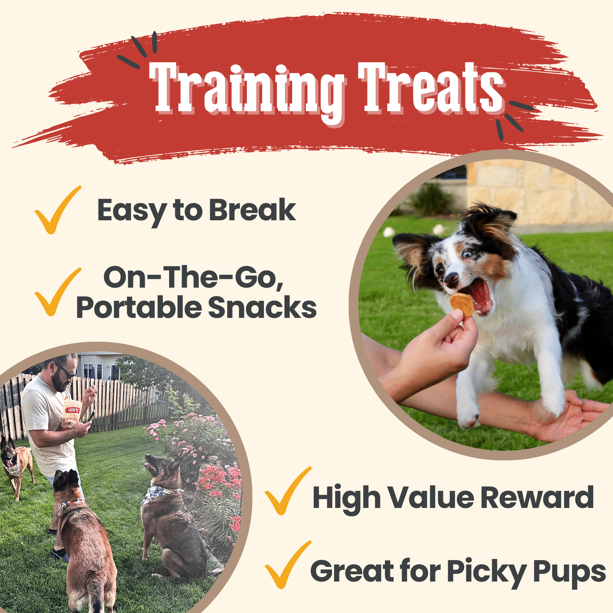 Farm to Pet Chicken Chips Dog Treats | Single Ingredient | Human-Grade | Made in USA