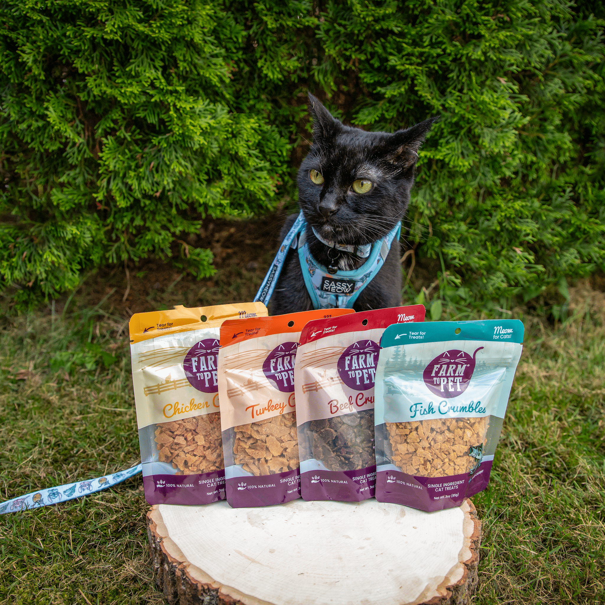 Farm to Pet Fish Crumbles Cat Treats | Wild-Caught Lake Erie Walleye | Single Ingredient | Made in USA