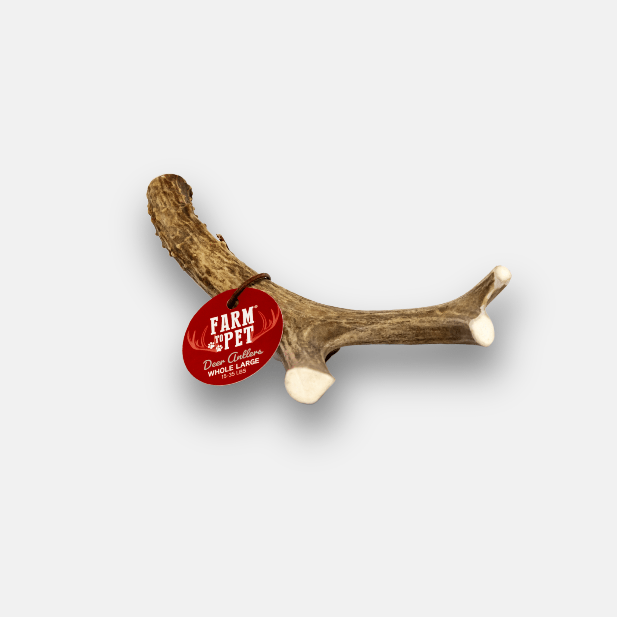 Organic Whole Deer Antler Chews for Large Dogs | Wild-Gathered USA | L & XL Sizes