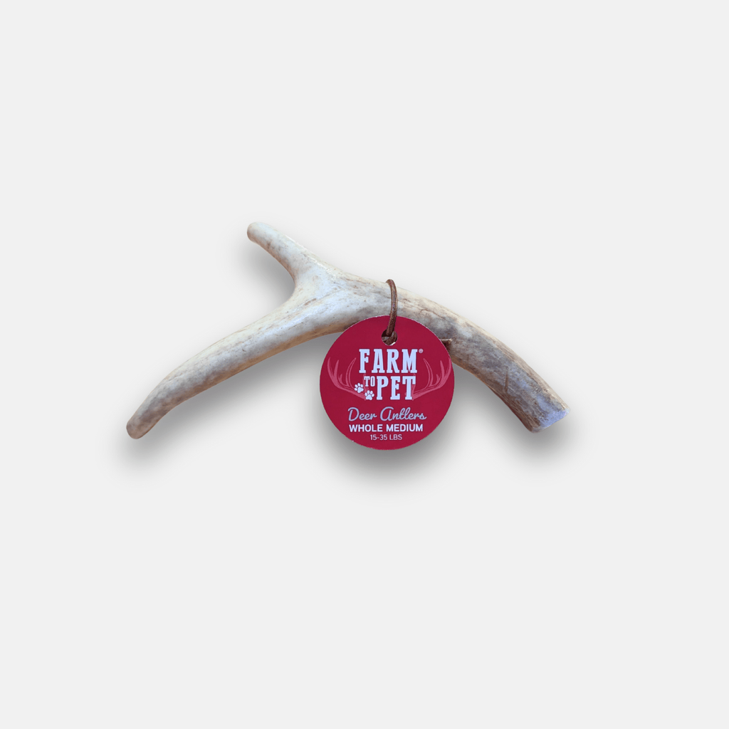 Organic Whole Deer Antler Chews for Large Dogs | Wild-Gathered USA | L & XL Sizes