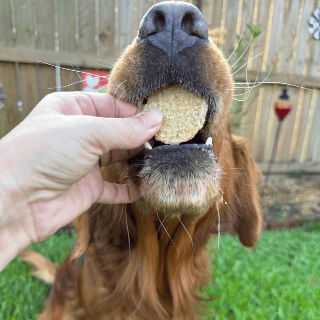 Farm to Pet Fish Chips | Wild-Caught Lake Erie Walleye | Single Ingredient Dog & Cat Treat