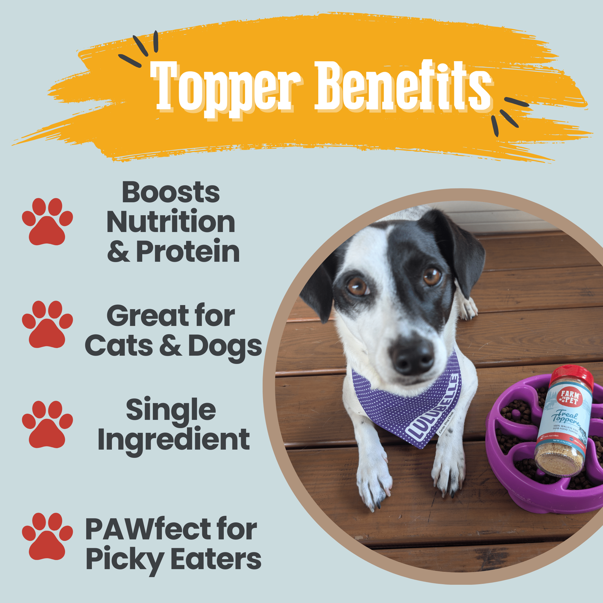 Farm to Pet Fish Treat Topper | Wild-Caught Lake Erie Walleye | Dog & Cat Food Topper | Made in USA