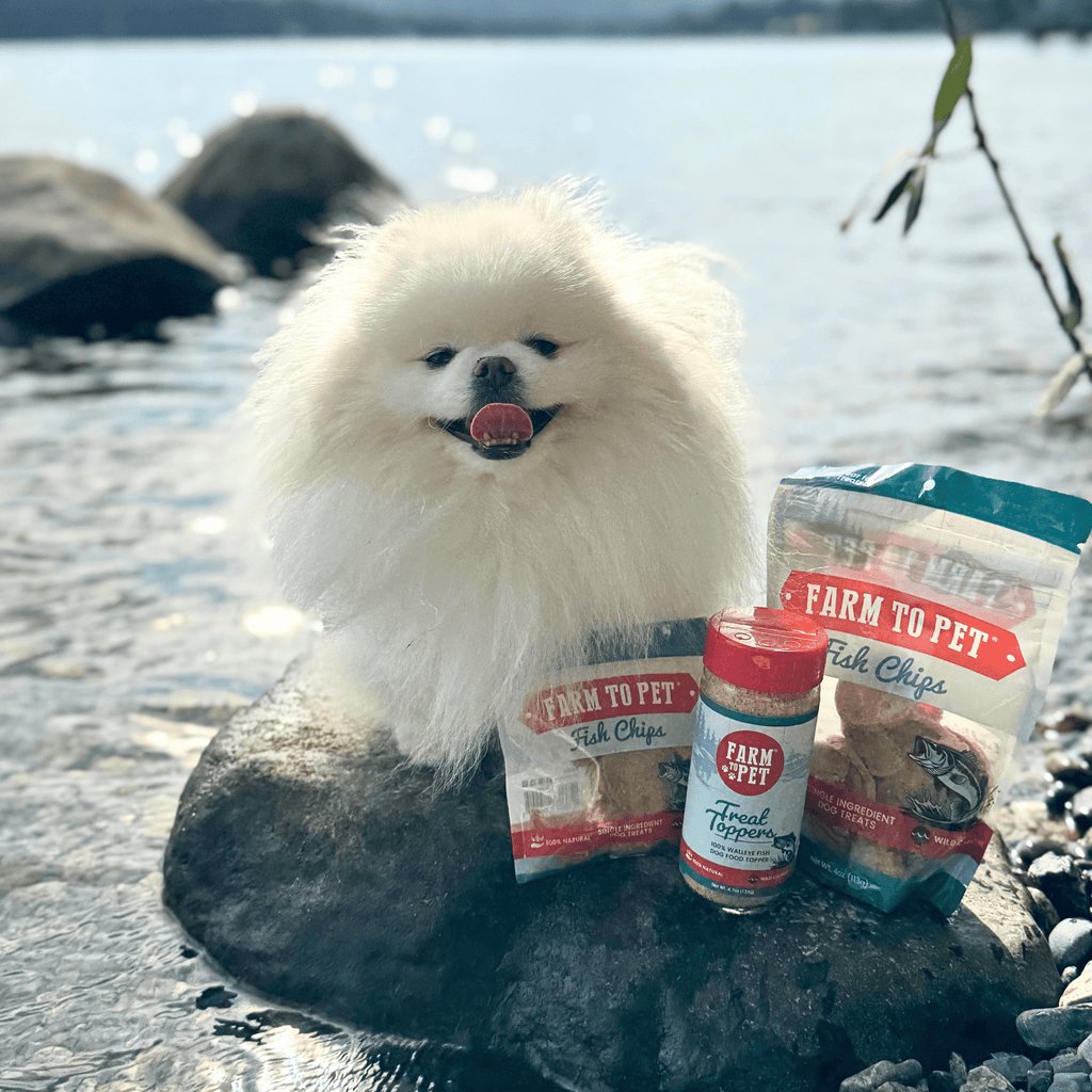 Farm to Pet Fish Treat Topper | Wild-Caught Lake Erie Walleye | Dog & Cat Food Topper | Made in USA