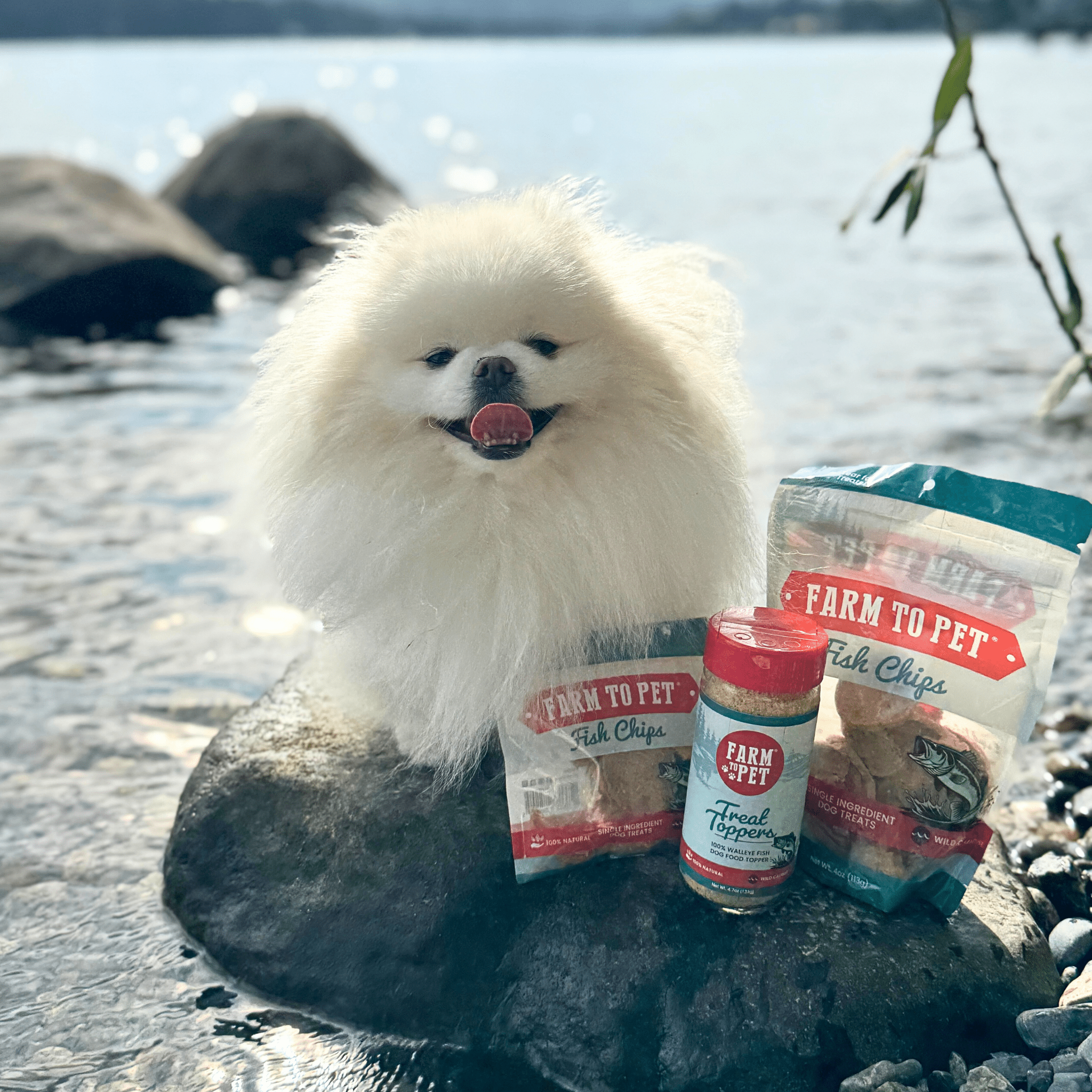 Farm to Pet Fish Treat Topper | Wild-Caught Lake Erie Walleye | Dog & Cat Food Topper | Made in USA