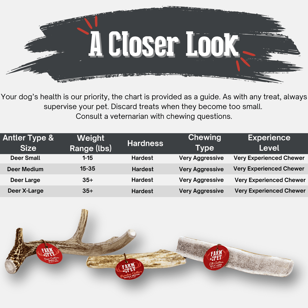 Organic Whole Deer Antler Chews for Large Dogs | Wild-Gathered USA | L & XL Sizes