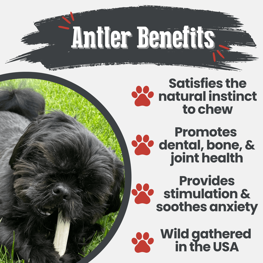 Organic Reindeer Antler Chews for Dogs | Wild-Gathered Alaska | Whole & Split | S, M, L