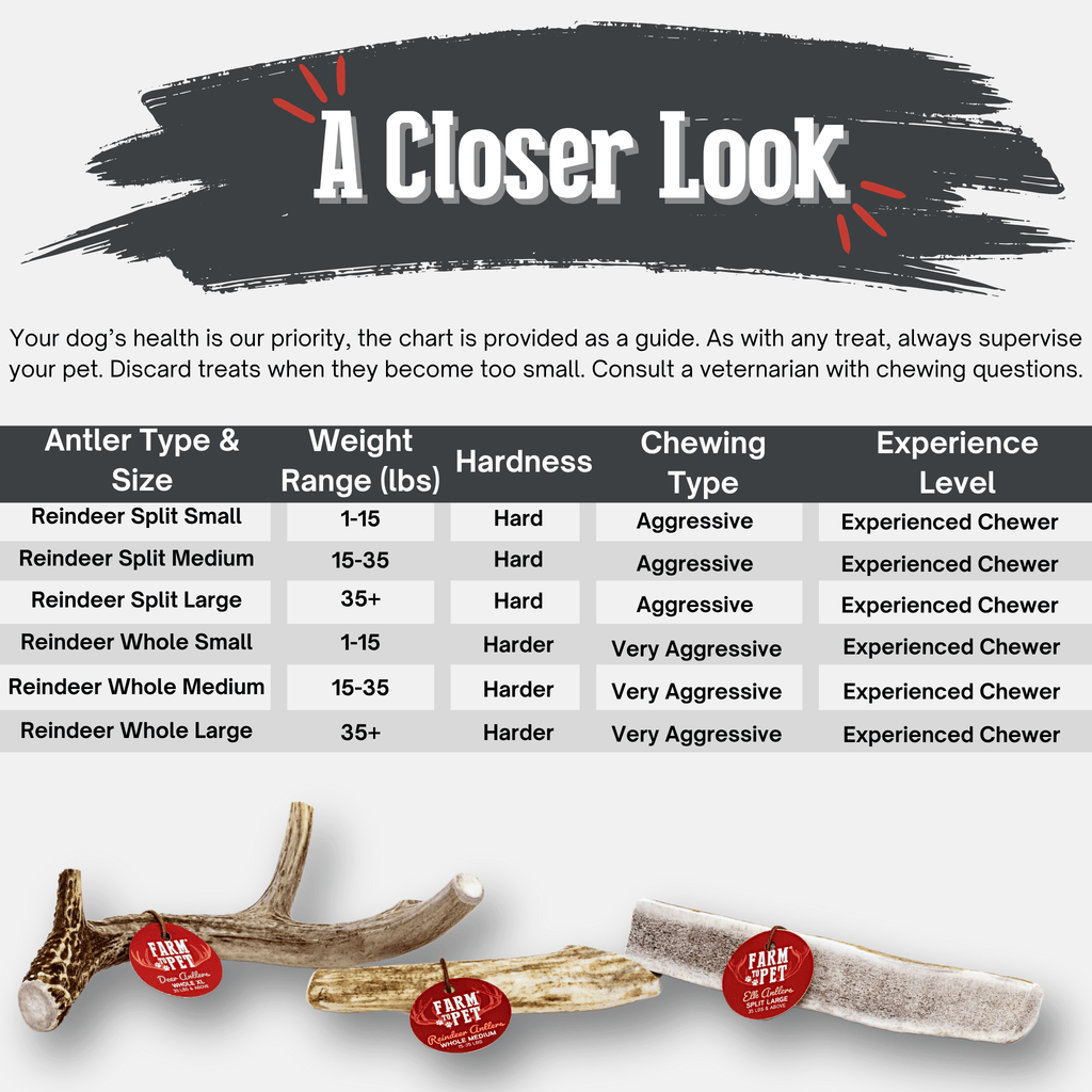 Organic Reindeer Antler Chews for Dogs | Wild-Gathered Alaska | Whole & Split | S, M, L