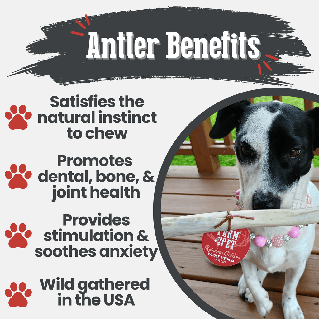 Organic Reindeer Antler Chews for Dogs | Wild-Gathered Alaska | Whole & Split | S, M, L